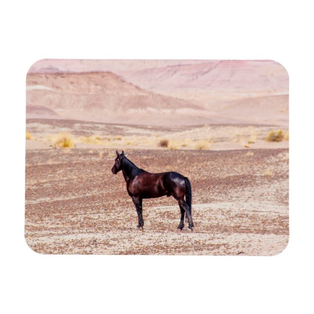 Imán Caballo desierto P8664 (Horizontal)