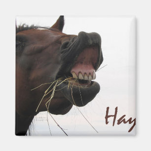 Imán Caballo divertido: ¡Heno!