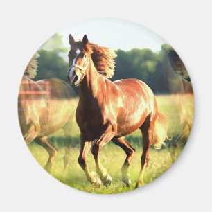 Imán Caballo en marcha