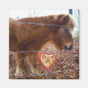 Imán Caballo en miniatura Corazón Rojo San Valentín
