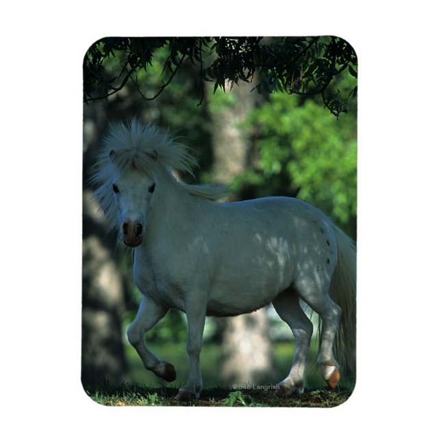 Imán Caballo en miniatura en los árboles (Vertical)