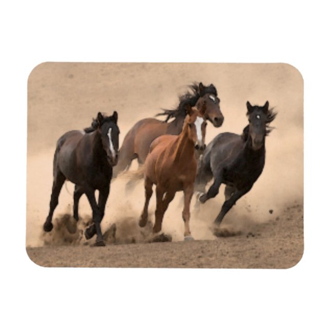 Imán Caballo en otoño II (Horizontal)