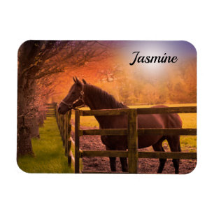 Imán Caballo en Paddock personalizado
