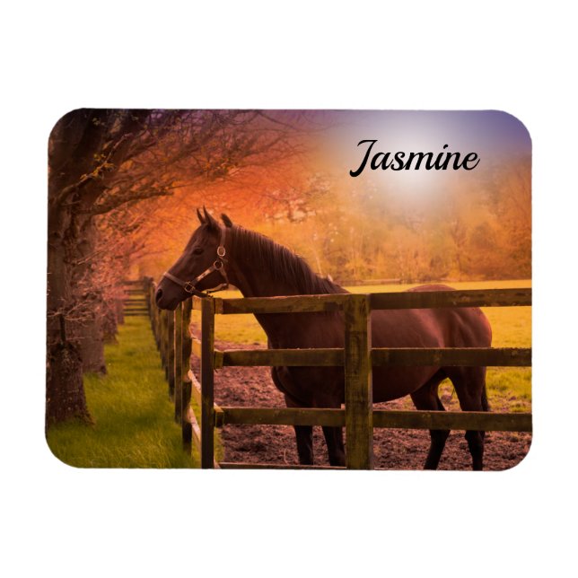 Imán Caballo en Paddock personalizado (Horizontal)