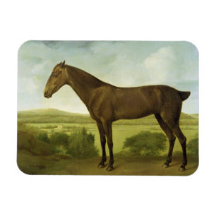 Imán Caballo en un paisaje montañoso, c.1780-1800