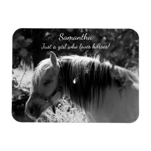 Imán Caballo Fjord Noruego en Blanco y Negro