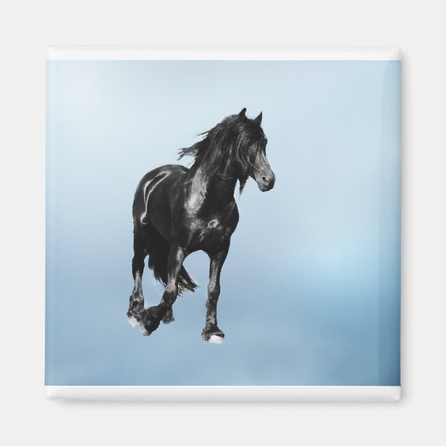 Imán Caballo girando repentinamente (Frente)