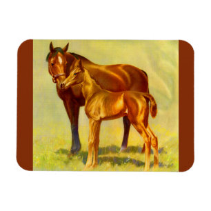 Imán caballo grande pequeño caballo
