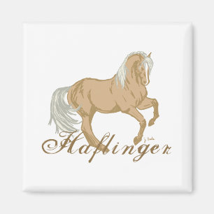 Imán Caballo Haflinger