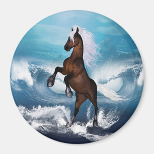 Imán Caballo hermoso con
