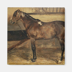 Imán Caballo marrón en los establos