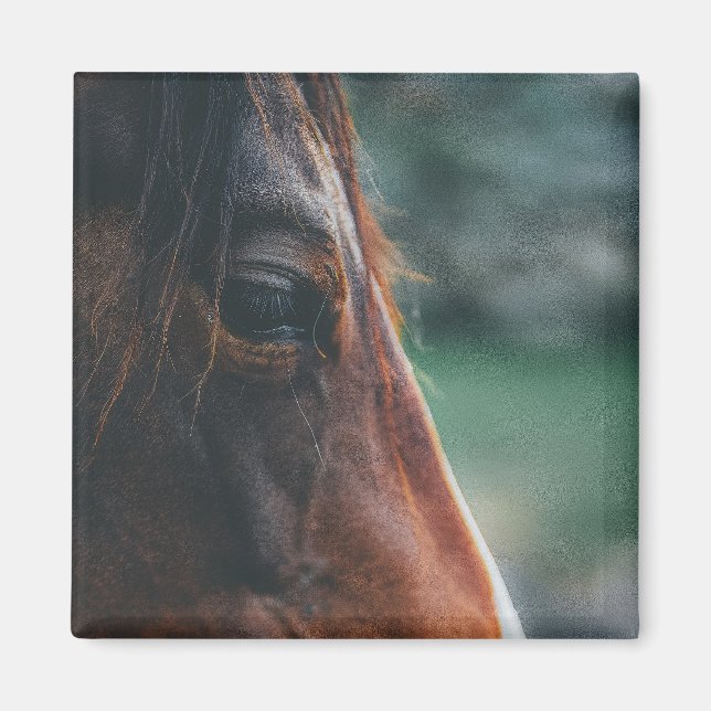 Imán Caballo marrón en primer plano (Frente)