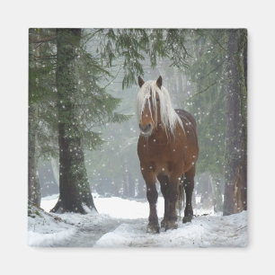 Imán Caballo marrón en un bosque de invierno con nieve
