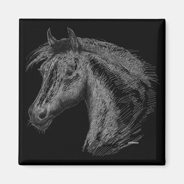 Imán Caballo: negro (Frente)
