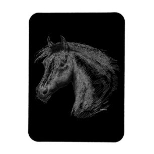 Imán Caballo: negro
