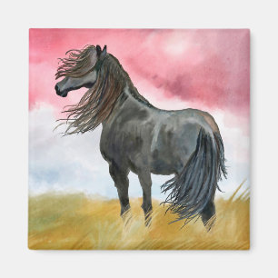 Imán Caballo negro en Field Magnet