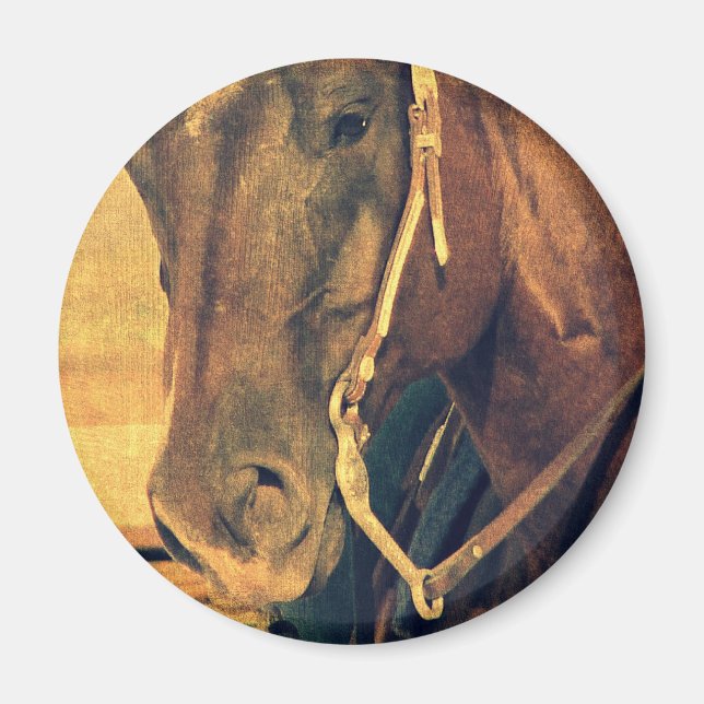 Imán Caballo Occidental (Frente)