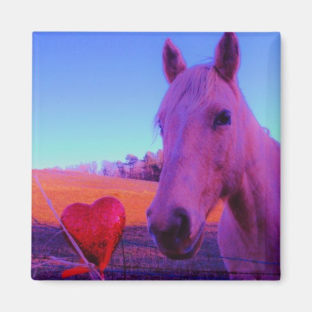Imán Caballo púrpura Valentine Corazón Rojo (Frente)