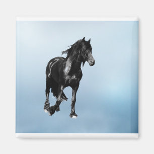 Imán Caballo que da vuelta repentinamente