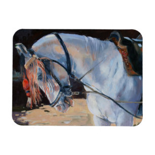 Imán Caballo Rajasthán 2010 de Marwari