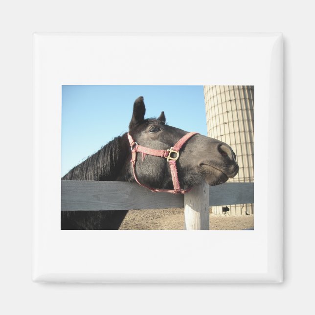 Imán Caballo/Rancho/Barn (Frente)
