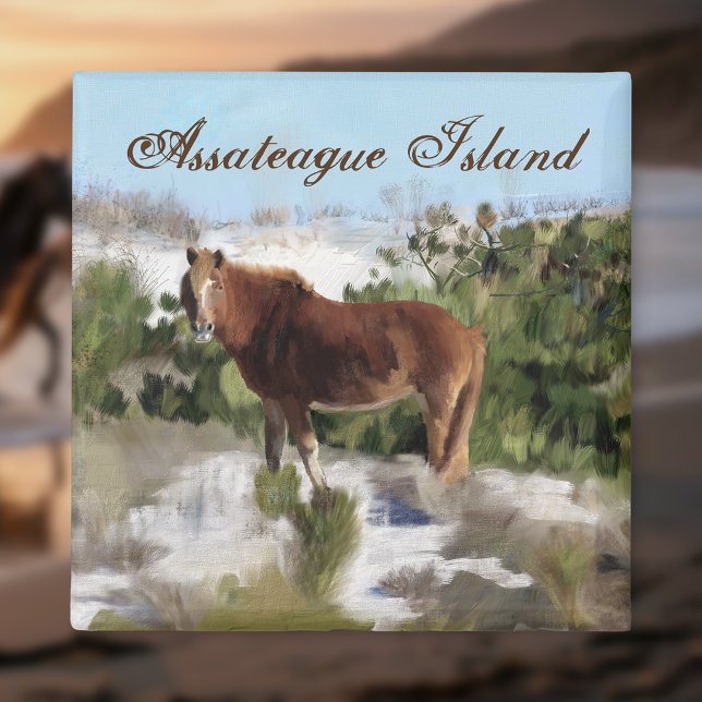 Imán Caballo salvaje de la isla de Assateague (Subido por el creador)