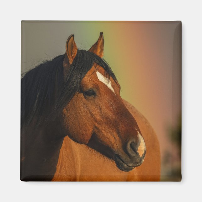 Imán Caballo salvaje, luz dorada y arcoíris (Frente)