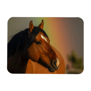 Imán Caballo salvaje, luz dorada y arcoíris
