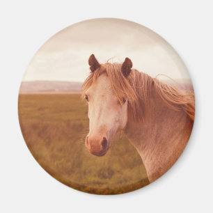 Imán Caballo salvaje vintage