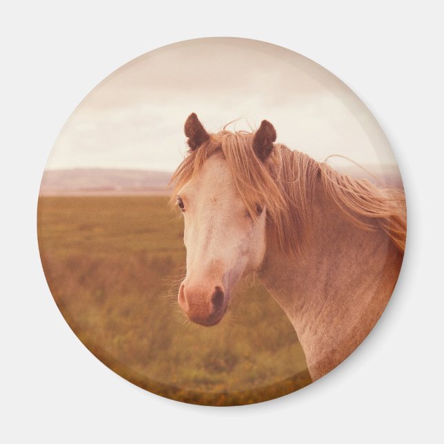 Imán Caballo salvaje vintage (Frente)