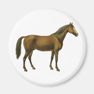 Imán Caballo Vintage