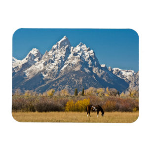 Imán Caballo y Grand Tetons, Moose Head Ranch