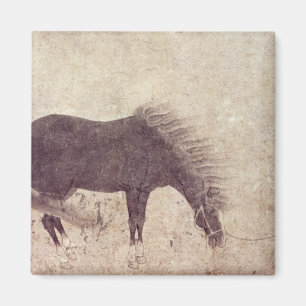 Imán Caballo y novio en invierno