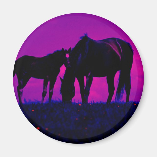 Imán Caballo y sucio (Frente)