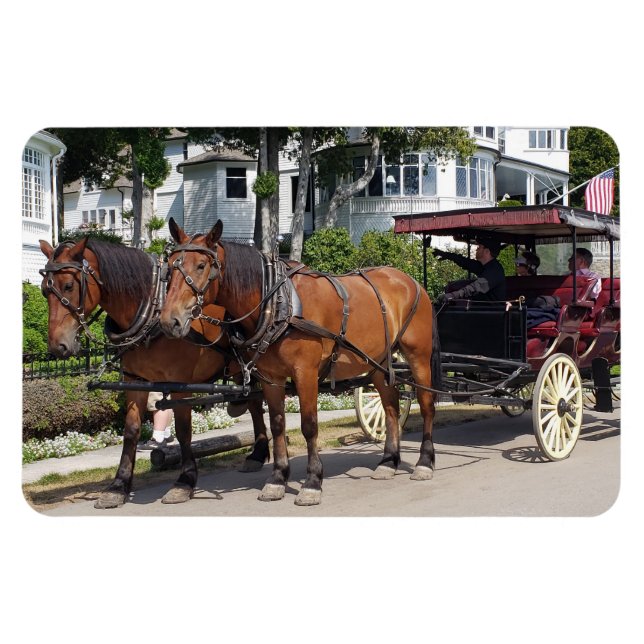 Imán Caballo y transporte en la isla Mackinac MI (Horizontal)