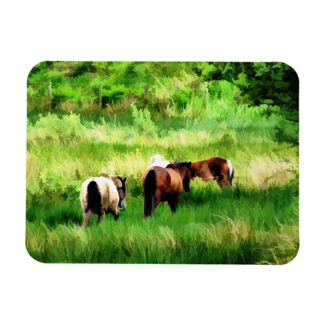 IMÁN CABALLOS (Horizontal)