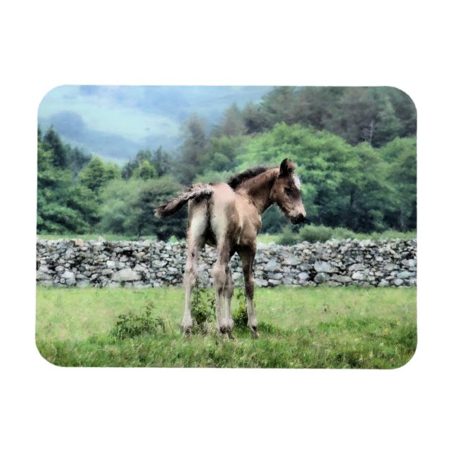 IMÁN CABALLOS (Horizontal)