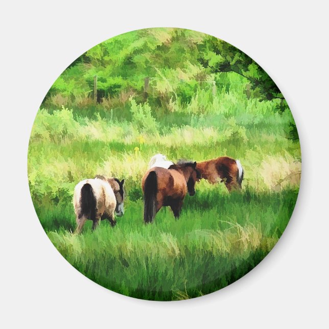 IMÁN CABALLOS (Frente)