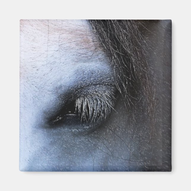 IMÁN CABALLOS (Frente)