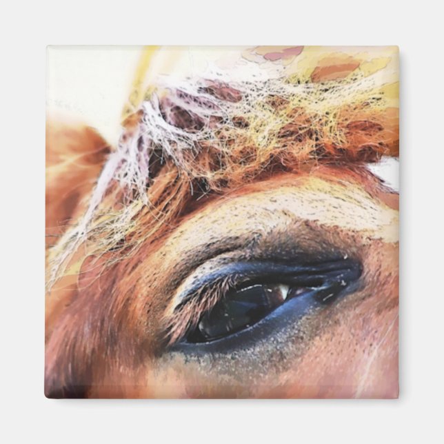 IMÁN CABALLOS (Frente)