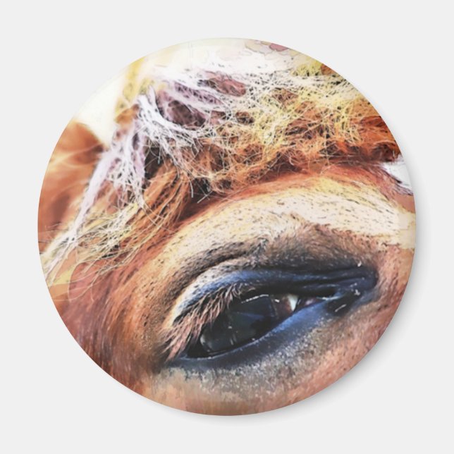 IMÁN CABALLOS (Frente)