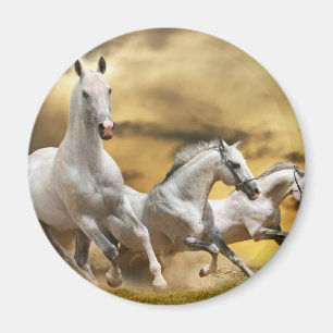 Imán Caballos blancos salvajes