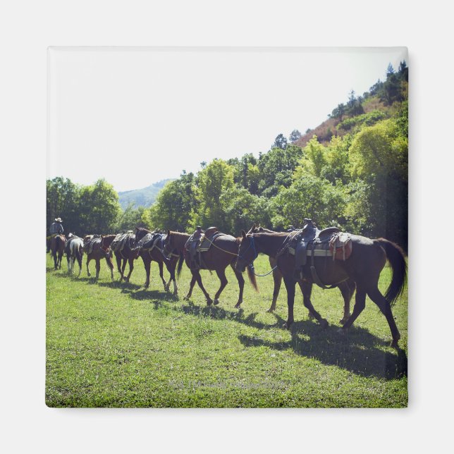 Imán Caballos caminando en fila (Frente)