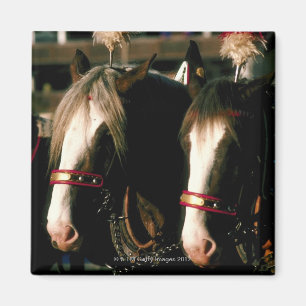 Imán Caballos con los tocados