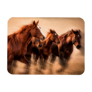 Imán Caballos corriendo, desenfoque y crines voladoras