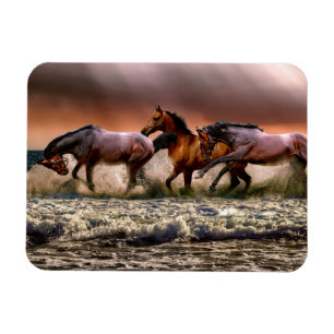 Imán Caballos corriendo en el Océano al atardecer