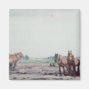 Imán Caballos de arado