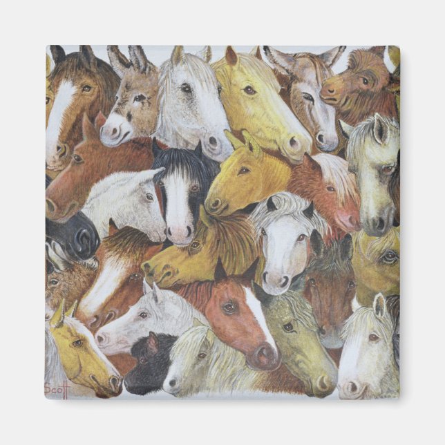 Imán Caballos de caballos (Frente)