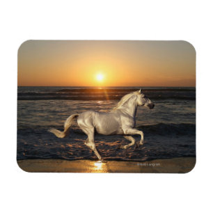 Imán Caballos de fantasía: Atardecer