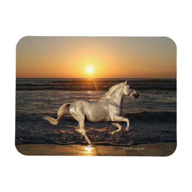 Imán Caballos de fantasía: Atardecer (Horizontal)